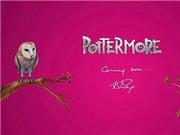 Bóng đá anh, ngoại hạng anh, lịch thi đấu euro 2012, Bí mật mới về Harry Potter